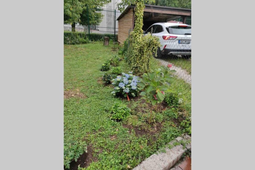 Villa Hortensia 류블랴나 외부 사진